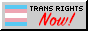 Trans Now